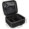 Relavel Travel Makeup Train Case, Portable Cosmetic Case Makeup Organizer, Professional Artist Storage Bag with Adjustable Dividers for Cosmetics Brushes, Birthday Gifts for Girls, Pink Stripe(black with golden zipper)
