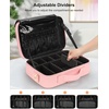 Relavel Travel Makeup Train Case, Portable Cosmetic Case Makeup Organizer, Professional Artist Storage Bag with Adjustable Dividers for Cosmetics Brushes, Birthday Gifts for Girls, Pink Stripe(Pink)